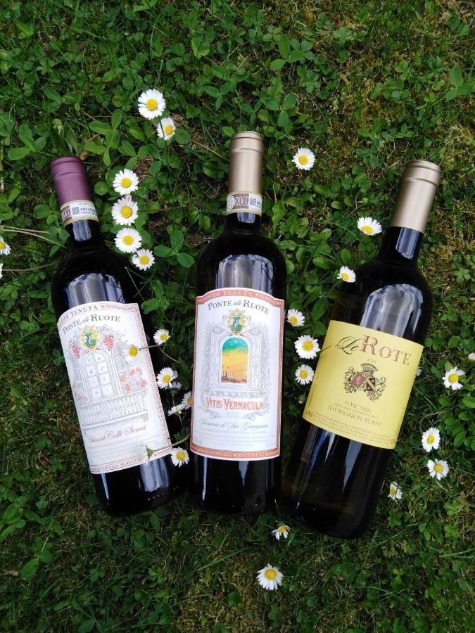 Agriturismo Le Rote Villa San Gimignano Ngoại thất bức ảnh